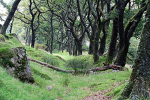 engeland