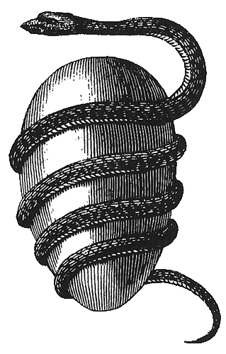 snake