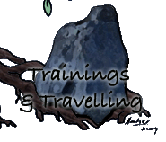reizen en trainingen