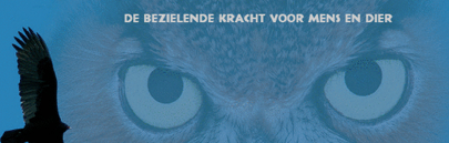praktijk oehoe